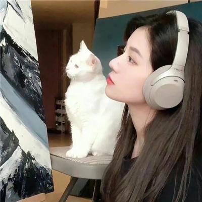 美国情事